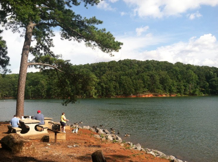 Red Top Mountain State Park, Georgia, USA